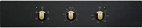 Electrolux Four encastrable Electrolux FR53G AquaClean 300 Convection - GLOBAL ASSET