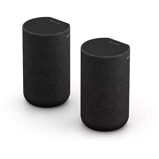 SONY SA-RS5 (la paire) Enceintes surround SONY