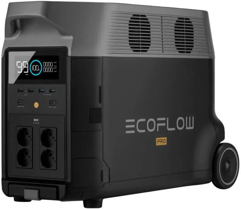 Ecoflow Delta Pro Portable Power Station, Noir, std. - GLOBAL ASSET