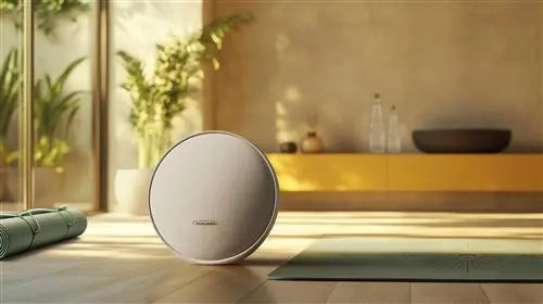 Harman Kardon Onyx Studio 9 Gris. - GLOBAL ASSET